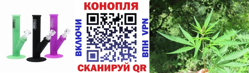 Конопля сатива Реж